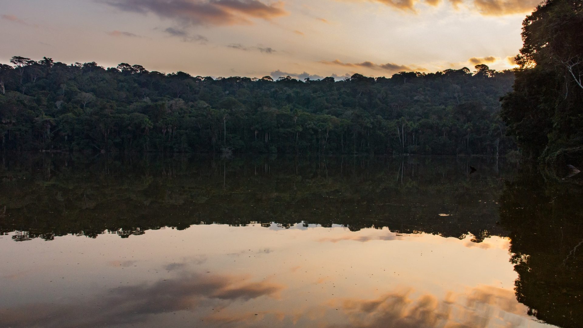 Reflets du crépuscule sur les eaux calmes du fleuve Beni bordé de jungle, Amazonie bolivienne
