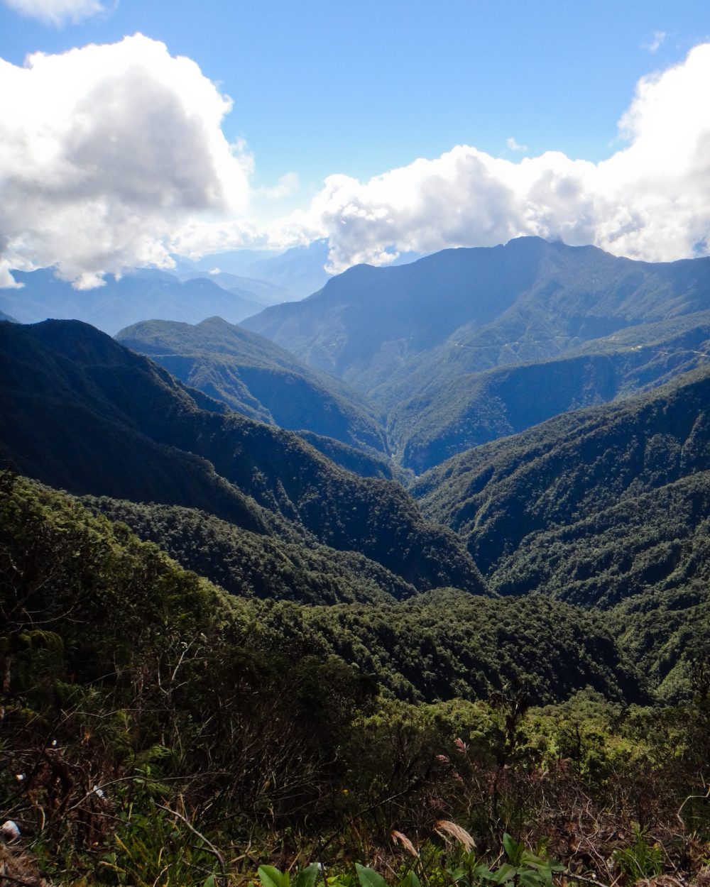 Vallée tropicale luxuriante et profonde des Yungas le long de la Route de la Mort, Bolivie